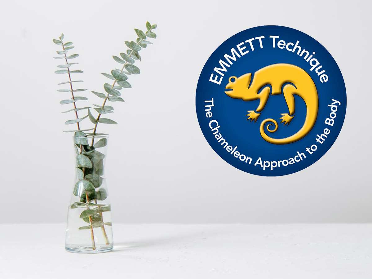 Emmett Technique Körperzyt Sibylle Stierli