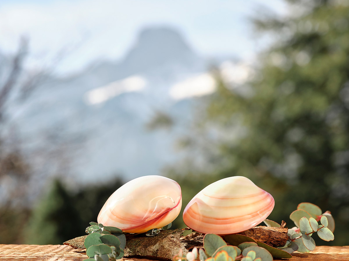Lava Shell Massage Körperzyt Sibylle Stierli